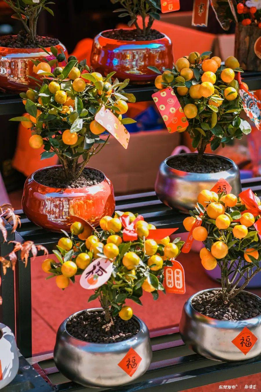 【请到广东过大年】免费打卡东莞18个A级旅游景区