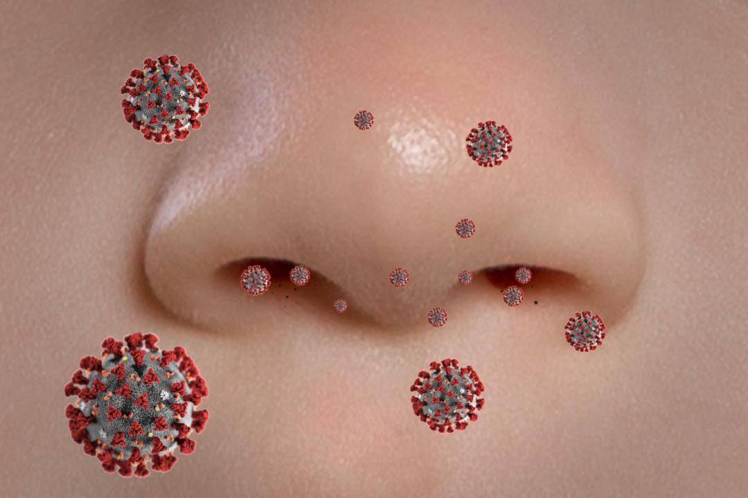 反复感冒?要小心这种病毒!医生:目前尚无疫苗或特效药_传播_症状_公众