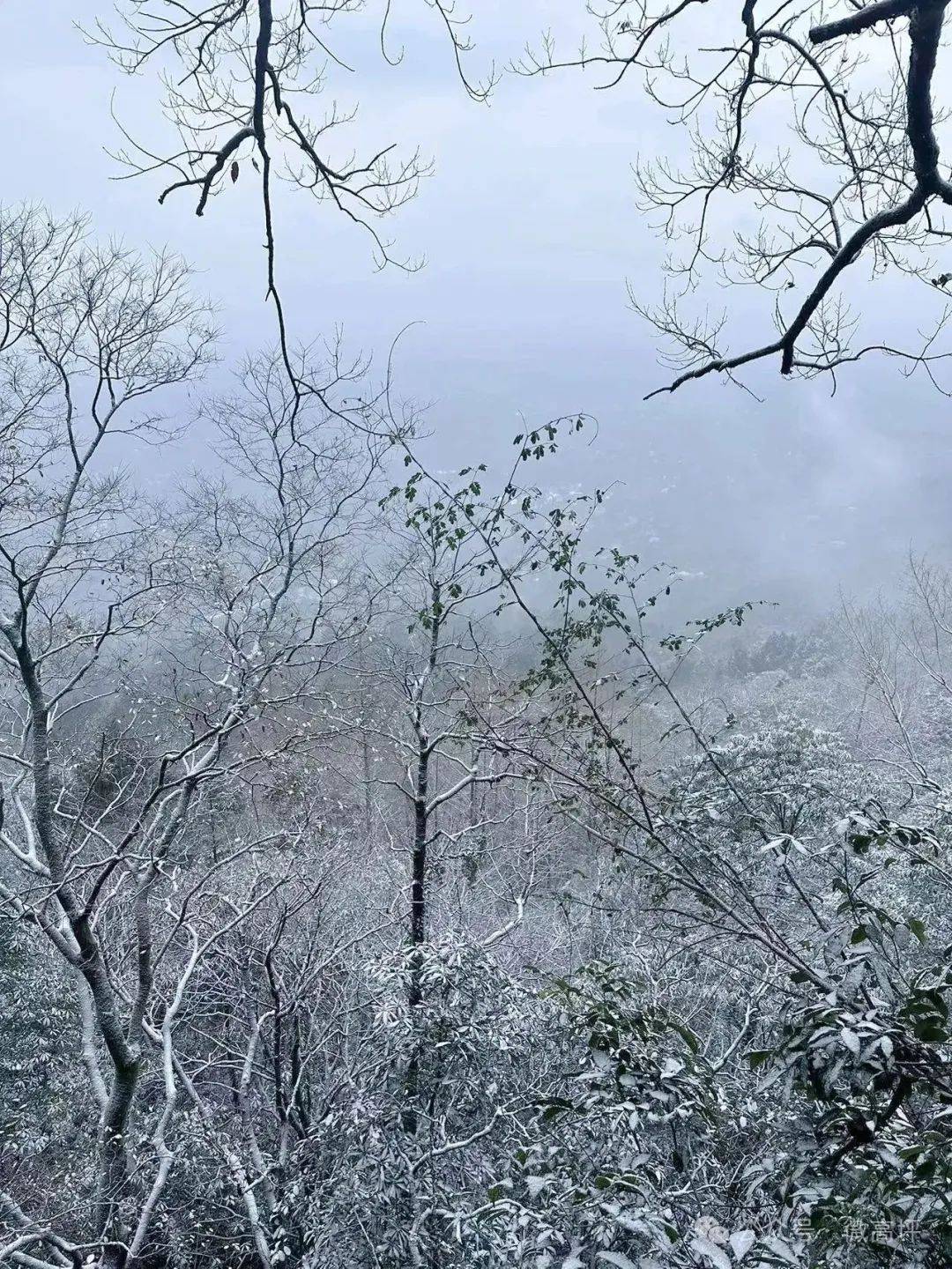 明天南充还会下雪吗?最新天气预报——_气温_阴天_雨雪