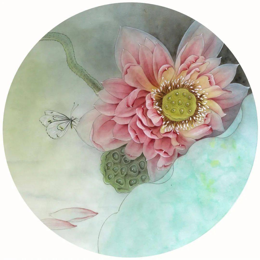 杨冬冬工笔荷花《蝶慕》绘制步骤解析!_莲蓬_国画_藤黄