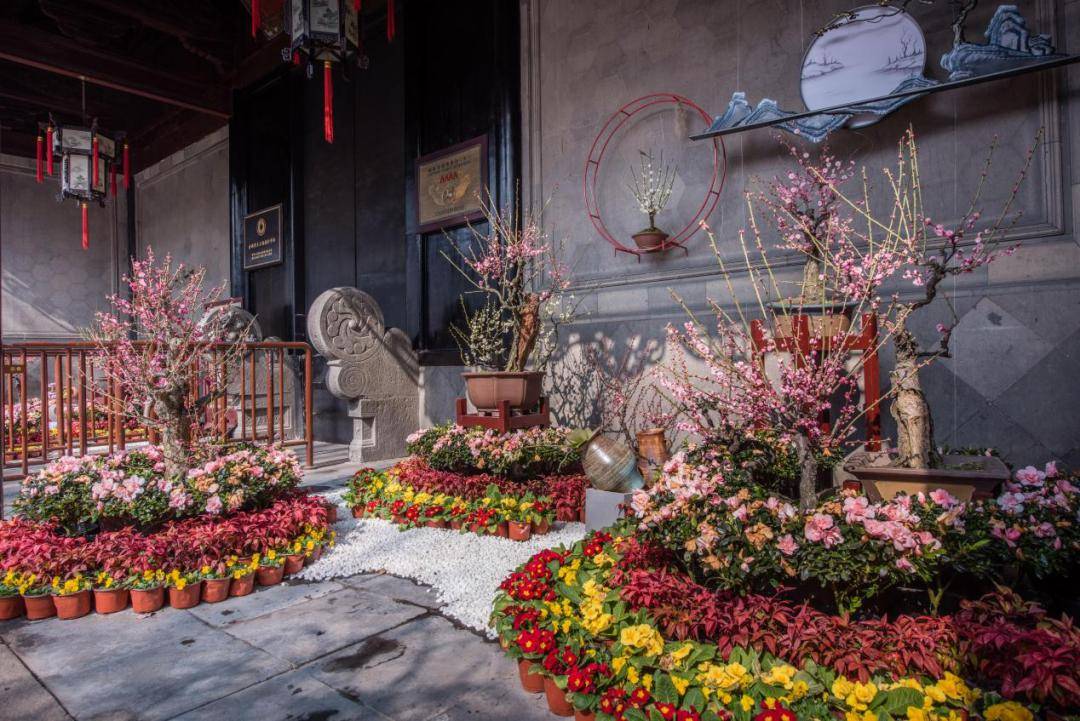 游园会留园泼墨送福迎龙年特色活动,拙政园精品花果展,虎丘,留园,艺圃