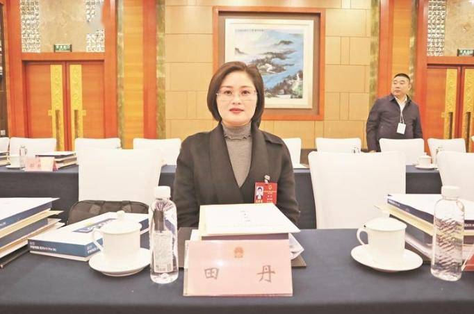 履职风采 | 田丹代表:擦亮"贵人服务"品牌 引进更多优强企业