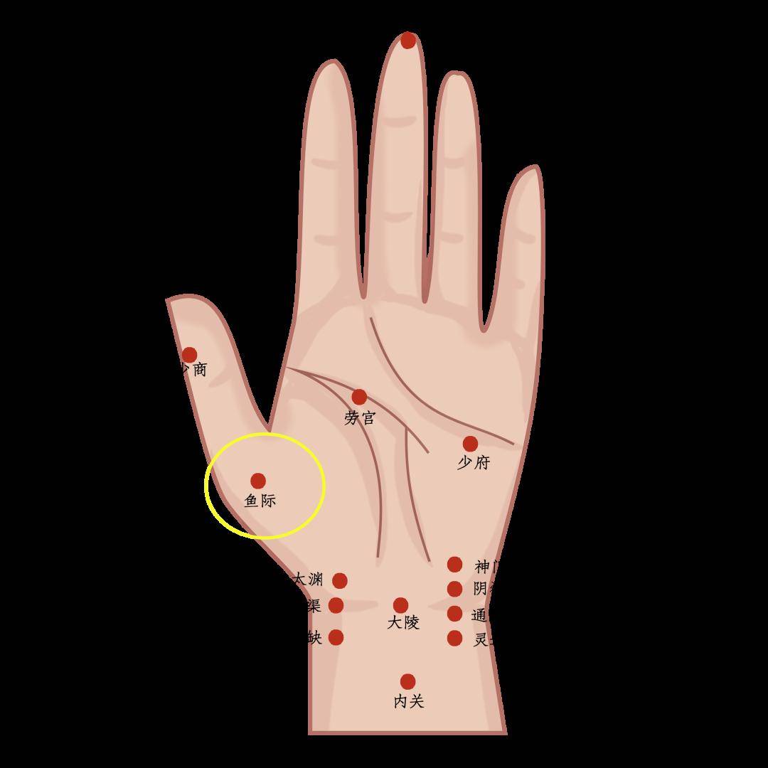 穴位按摩 肺虚之咳可按揉大鱼际穴