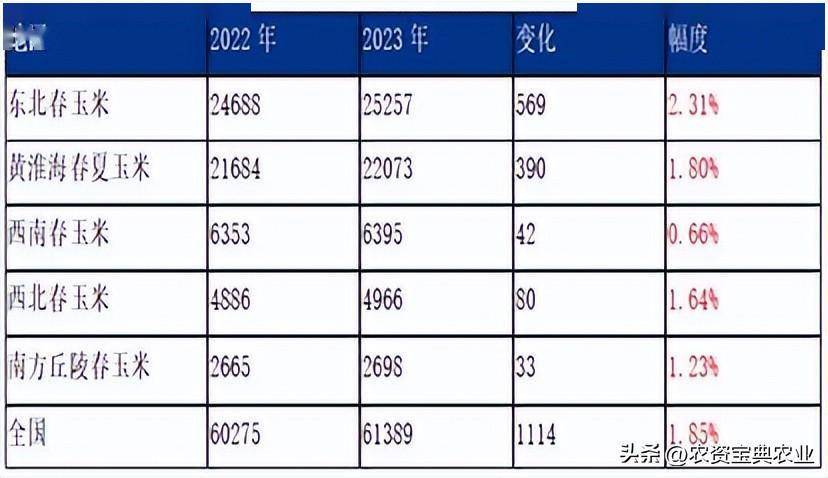 2024年玉米市場分析及成本收益研報_價格_階段_反彈