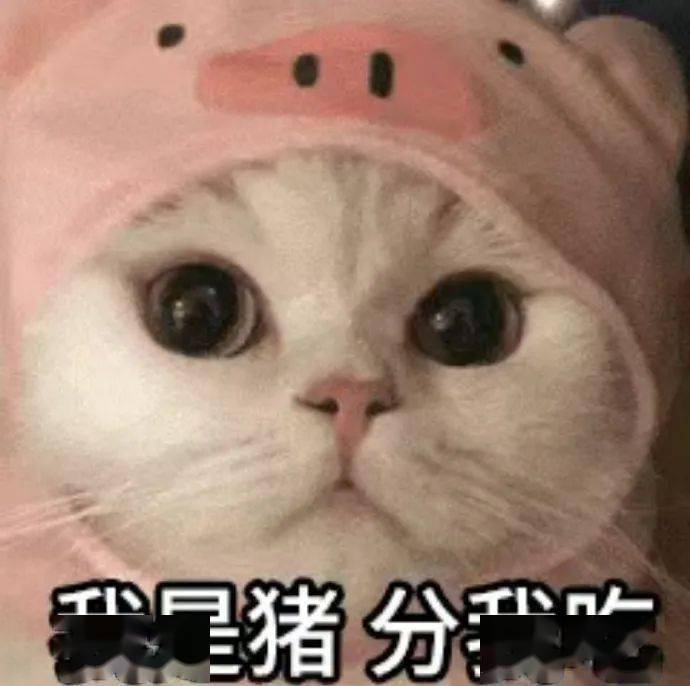 不回消息猪丢了表情包图片