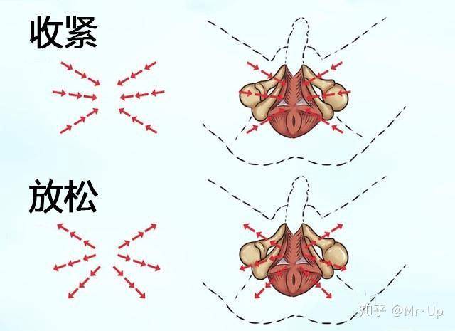 动停训练方法教程图片图片