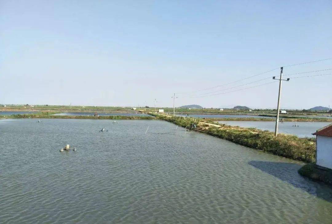 200多万元的鱼塘补偿款,到底应该给谁?_集体_承包_进行