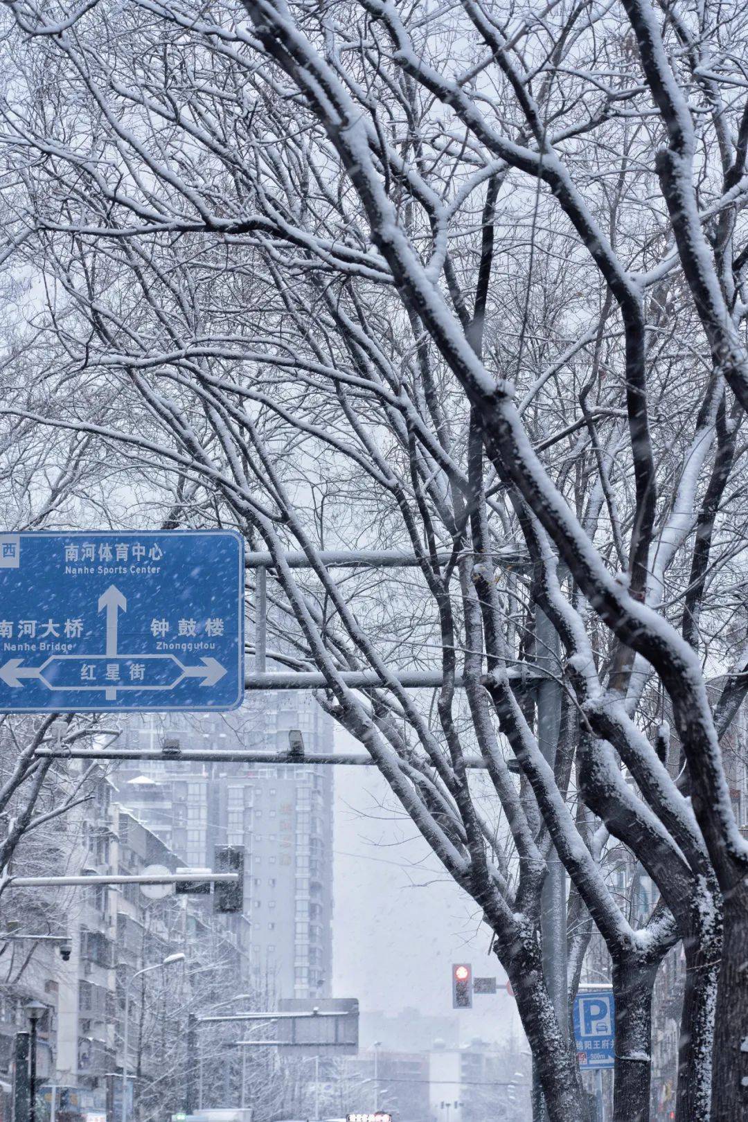 城市雪花飘飘图片图片