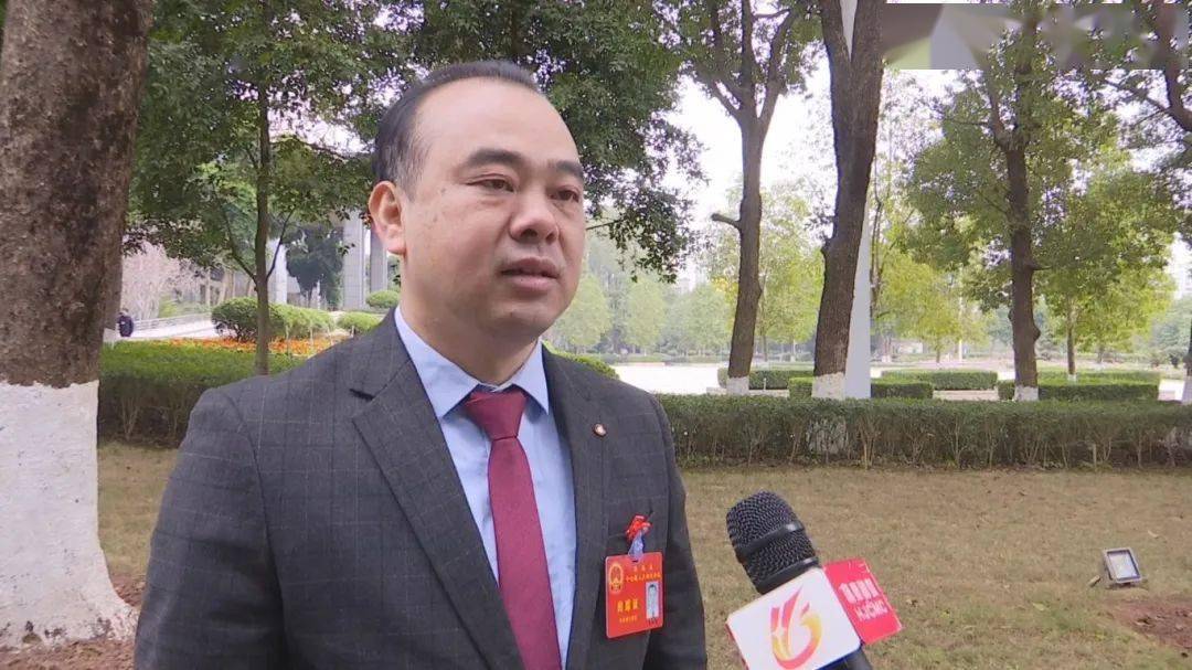 人大代表热议政府工作报告_怀集县_发展_全县