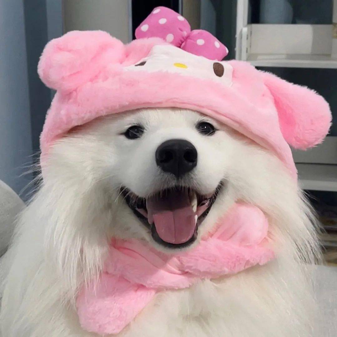 头像 | ins高级感头像