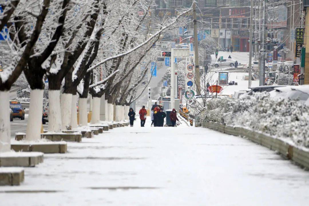 银装素裹的草海北坡生态公园雪景美不胜收威宁新城区出现多次降雪威宁