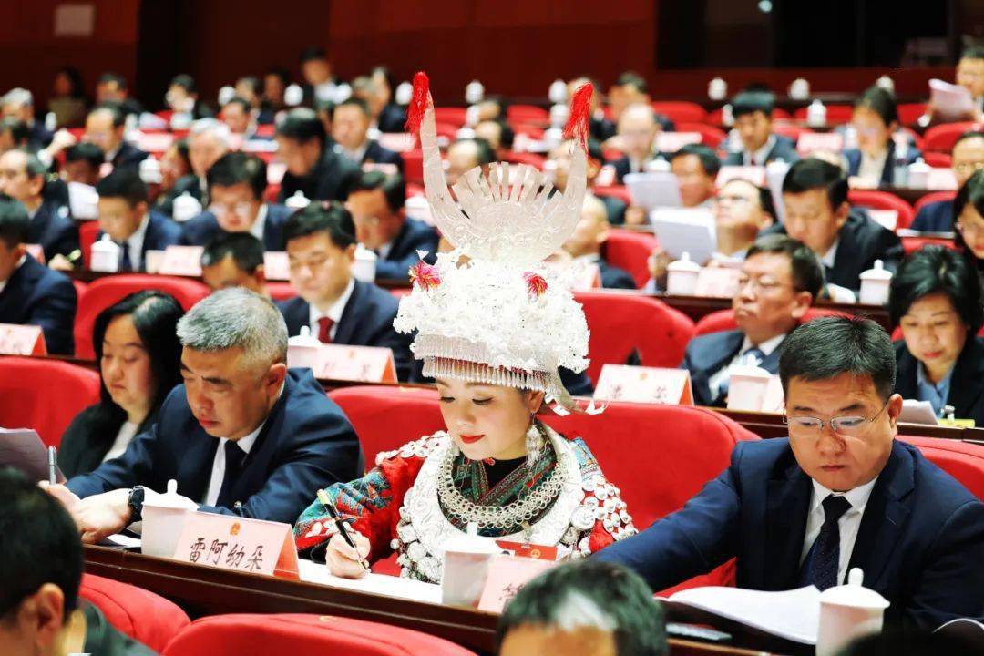 省人大代表,贵州食品工程职业学院阿幼朵艺术学院院长雷阿幼朵总是一