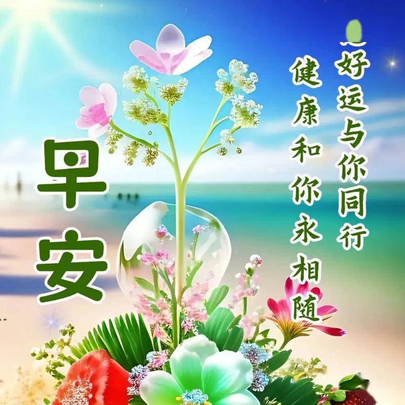 今日最新早安早上好精选,祝福问候,开心幸福