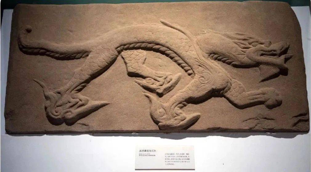 展讯 | 含"龙"量极高!