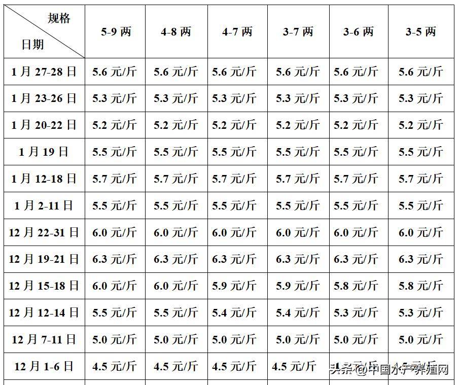 2023年1月底去年同期的行情,牛蛙價格8.