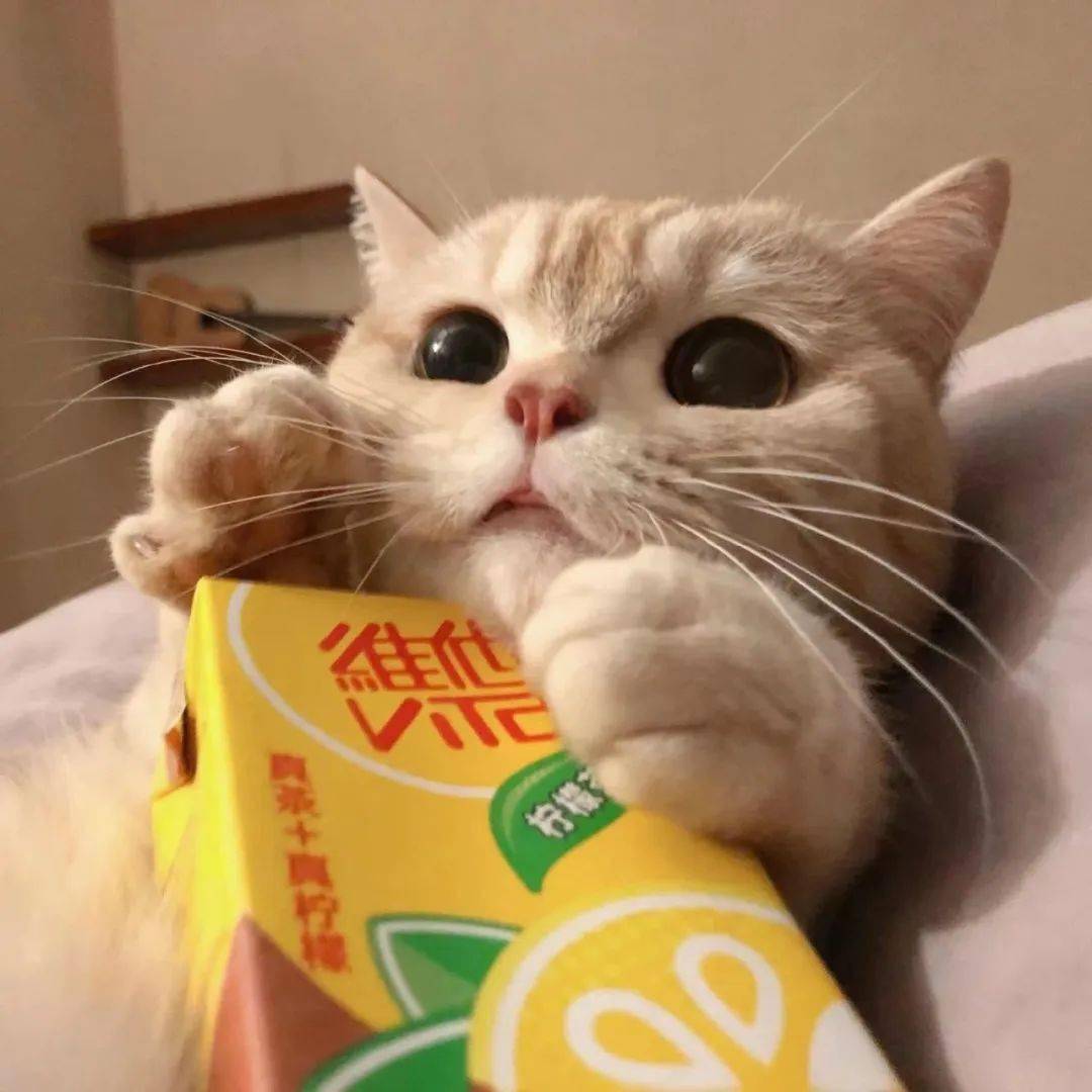 ins头像丨超级减龄的ins风头像