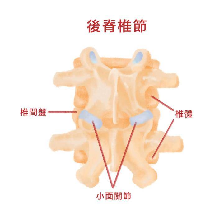 頸椎ct片,如何看?_椎間盤_錐體_關節