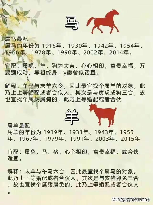 12生肖排序婚配表图片图片