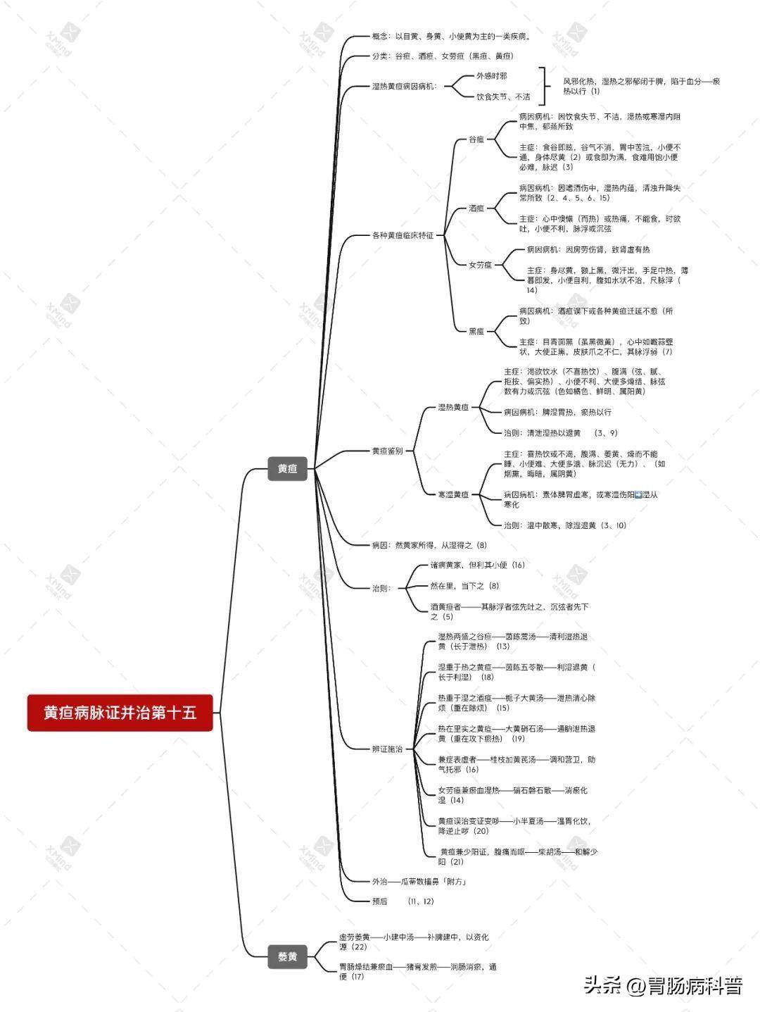 金匮要略总结思维导图图片