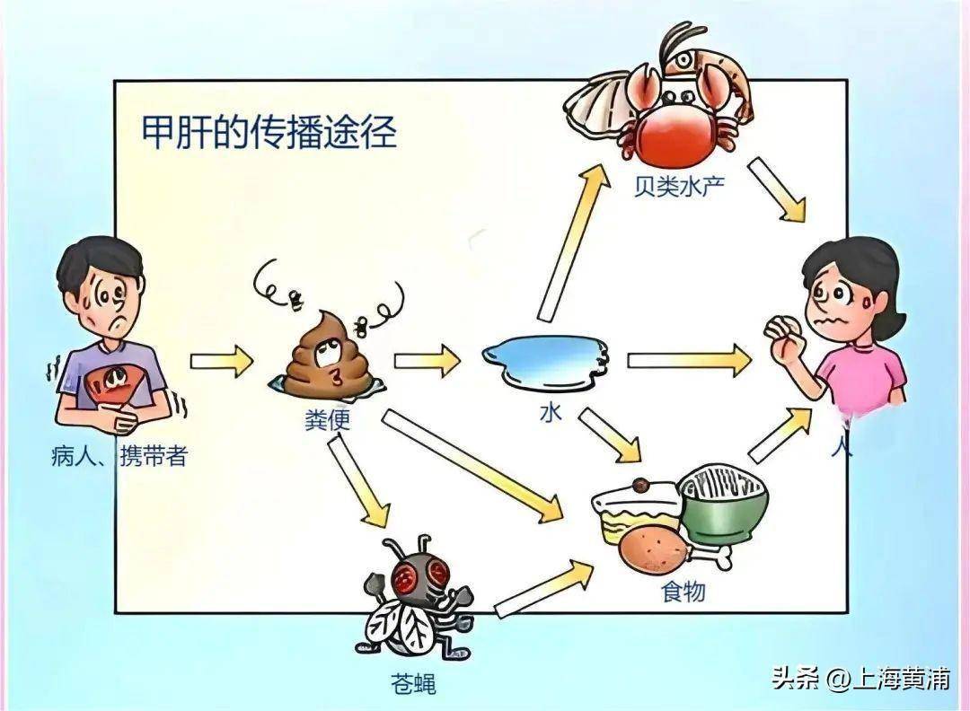 《繁花》里的宝总住进了仁济医院,竟是因为ta_甲肝_上海_治疗