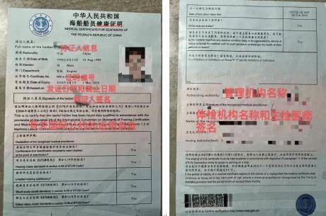 海船船员体检满足相应要求后,取得《中华人民共和国海船船员健康证明