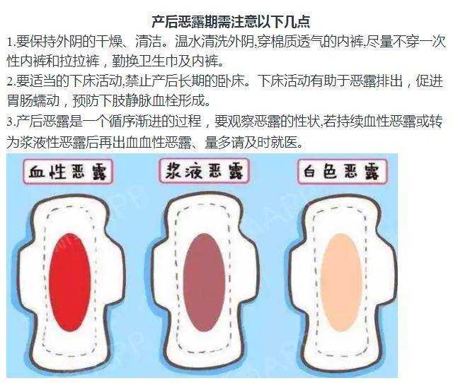 产后恶露知多少