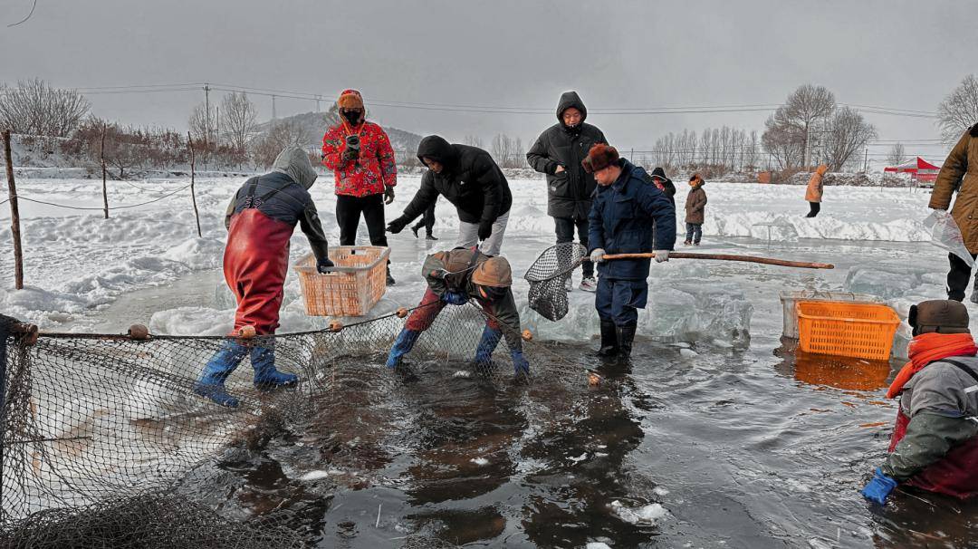 鱼跃人欢丰收年,拥抱鲜活的冬日!_王郅_张云学_旅游