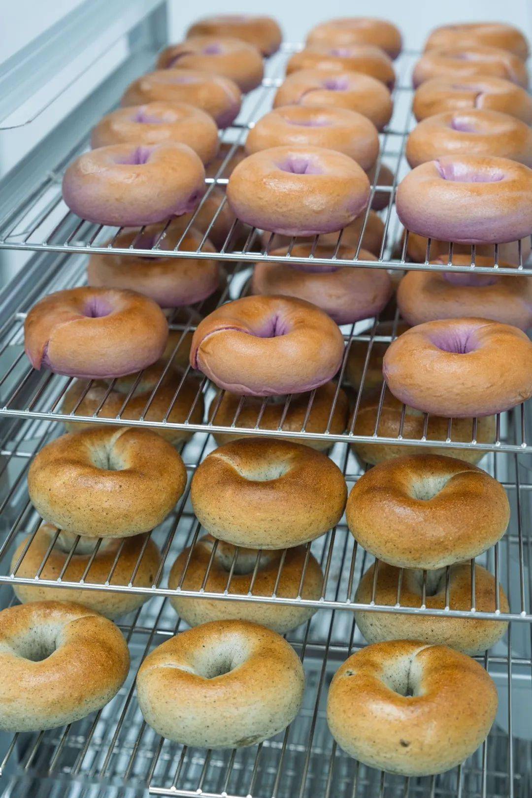 贝果2.98元一个!用料超优质!低油低糖,纯手工无添加!