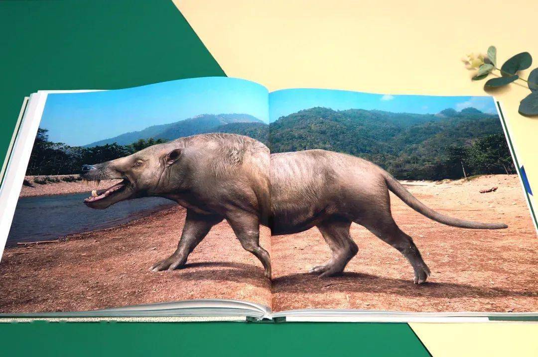 书的进化史环创图片图片