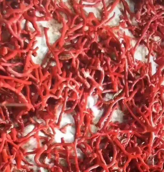 揭秘红珊瑚手镯的拼接过程_进行_阿卡_销售