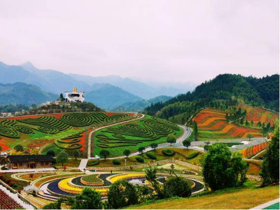 茶乡花海冬季邀你来过年活动内容:活动一:买门票送红包(随机送娱乐