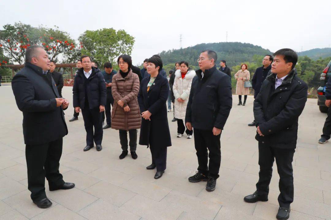 李红兰率队到宁明县考察学习和美乡村建设先进经验和做法_江州区_连村