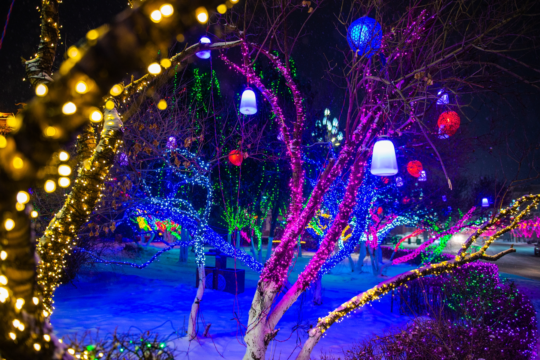 扮靓城市夜景九台区流光溢彩年味浓_彩灯_公园_景观