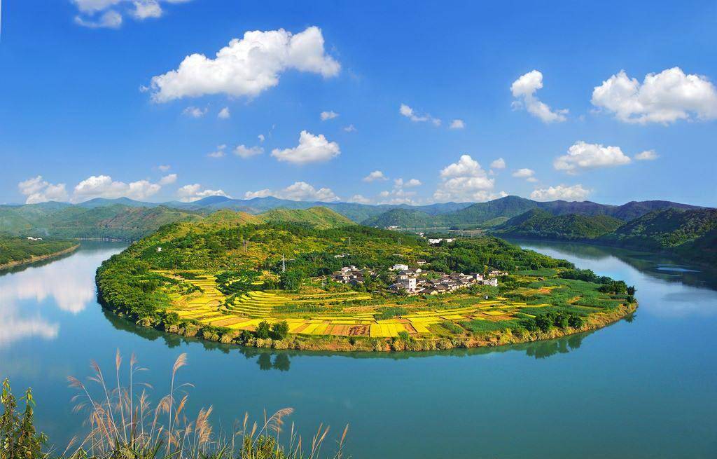 到封开,状元陪你过大年!_节目单_详情_贺江碧