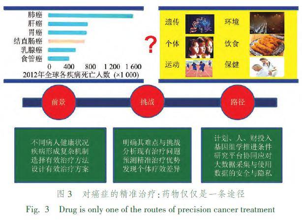 可以預期在精準醫療時代同一疾病亞群分類中能夠容納的藥物數量是非常