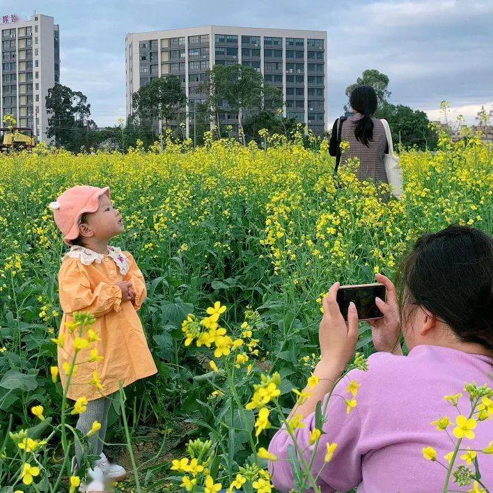 時間:2月23日10:00-11:00地點:厚街雙崗都市田園為紮實推進鄉村振興