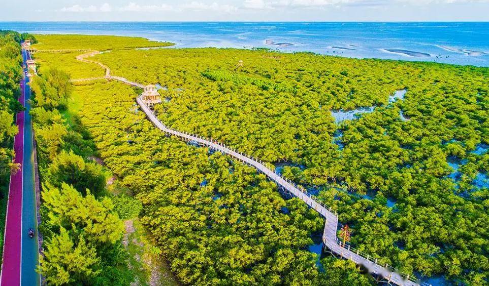 北海银滩 摄影/高志广主要节点:北海银滩景区,北海金海湾红树林生态