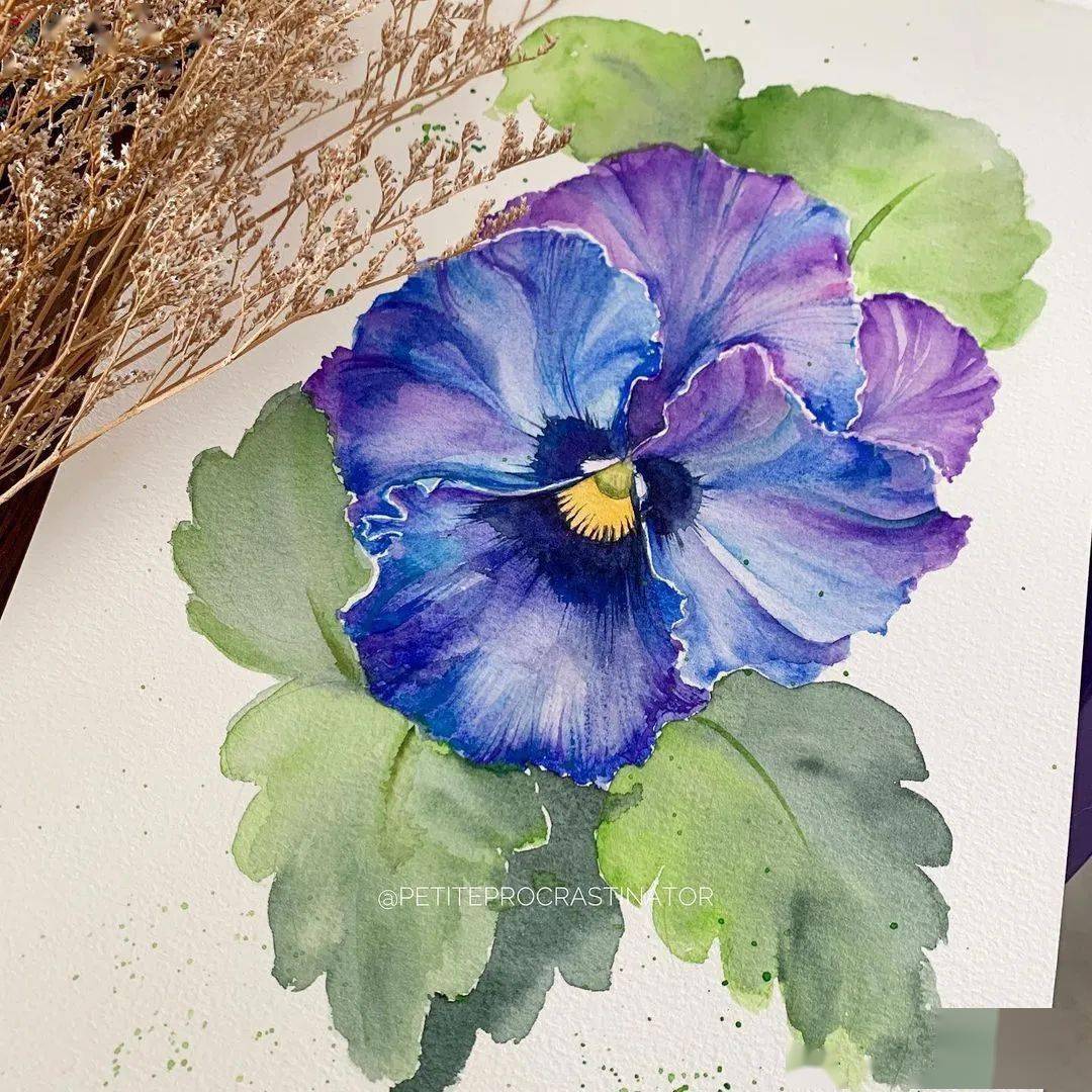 美女自学成才,仅用1年时间,画出超清新唯美水彩花卉,这意境太美,看跪.