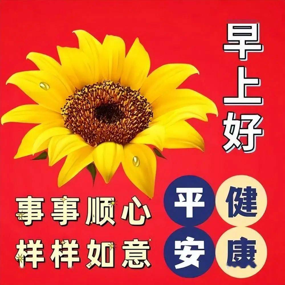 2月1日周四早上好,精选最新版周四快乐好看祝福语图片表情大全,愿君