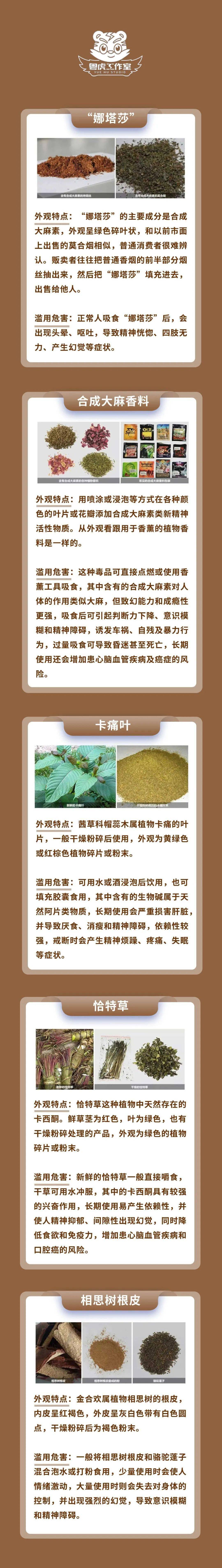 小心"毒药材!_禁毒_草乌_毒品