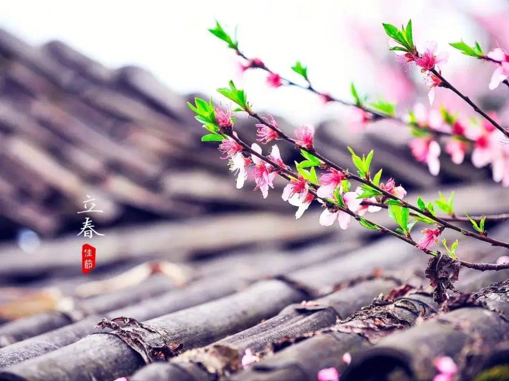 来百度app畅享高清图片立春是中国传统的二十四节气之首,立是开始