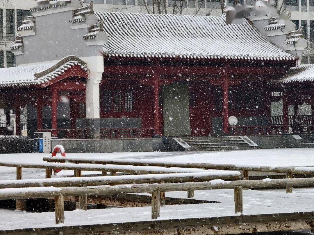 【永靖】飛雪迎春到_李世英_小城_雪花