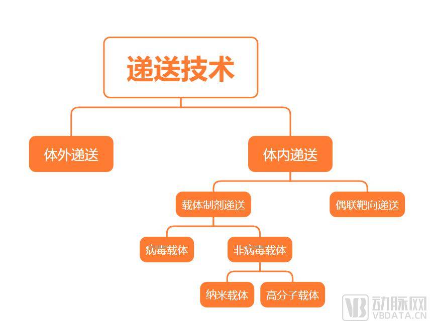 aera的潛力或許就在於解決這個基因編輯領域的長期挑戰——特異性遞