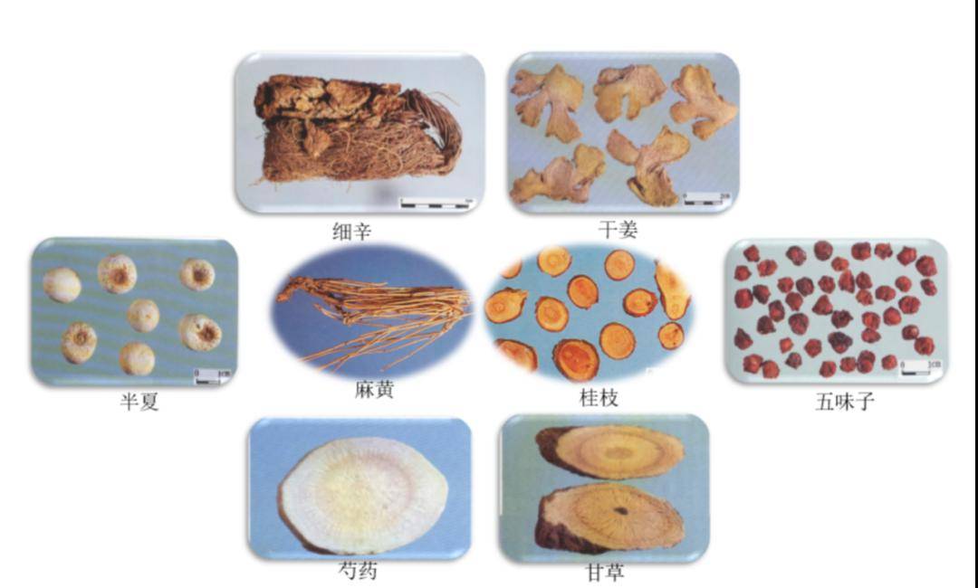 生产_患者_剂型