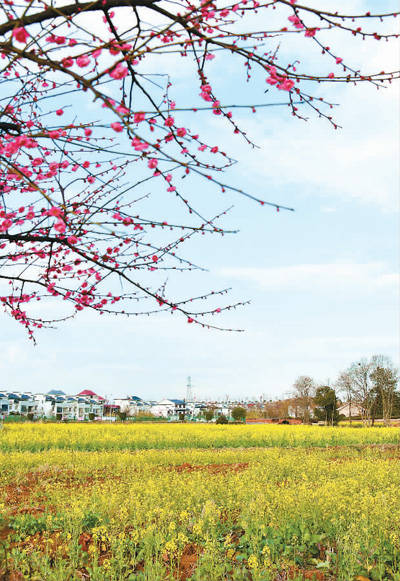 立春:健康養生自此始(二十四節氣裡的中醫養生之道)