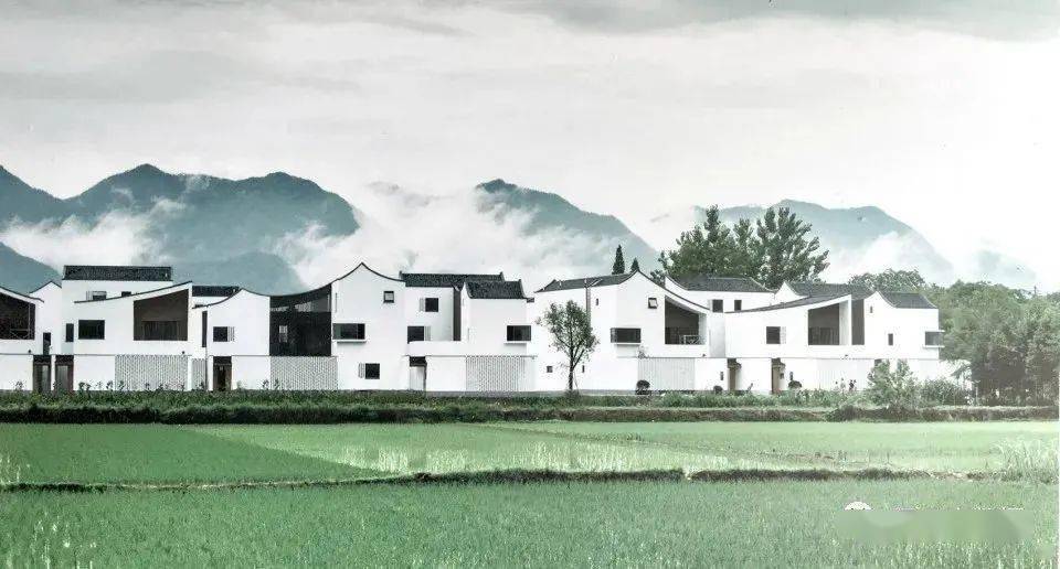 王澍和马岩松,谁才是真正的山水自然?_建筑_城市_中国