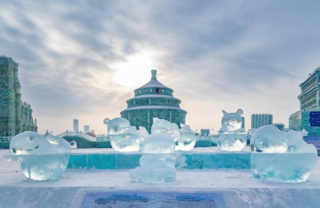 沈水湾冰雪大世界图片