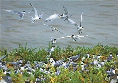 市自然资源和规划局党组书记,局长王寅星:擘画宁波版