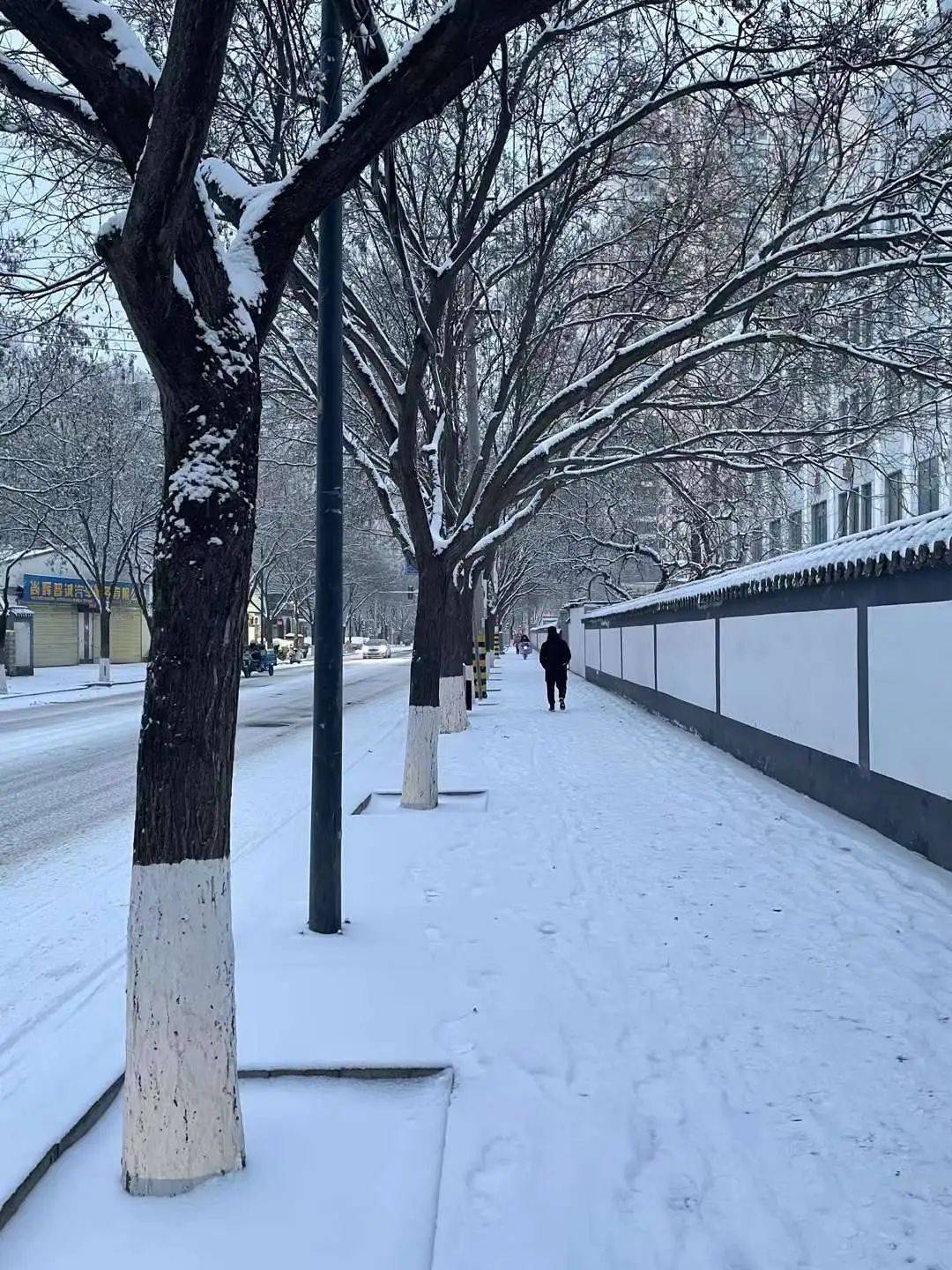 兰州下雪图片真实图片