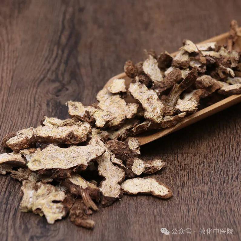 中医话中药之"苍术"